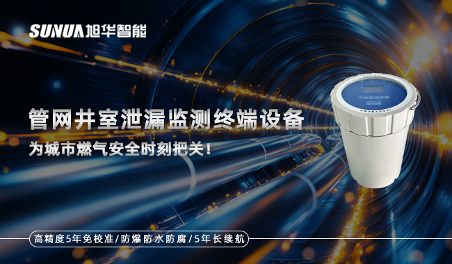 泵吸式激光可燃气体监测仪